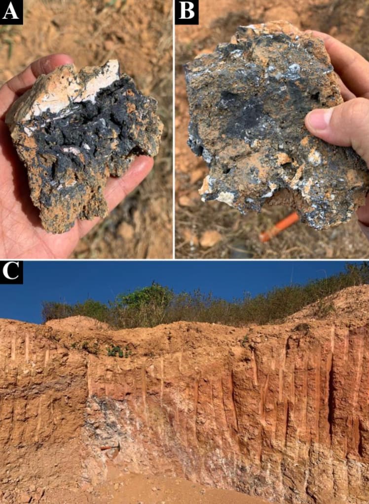 Amostras minerais e perfil exposto de solo
